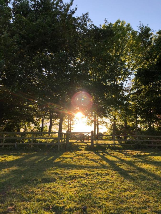 Nine Acres, Peaceful Hotell Brackley  Eksteriør bilde